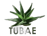 TUBAE